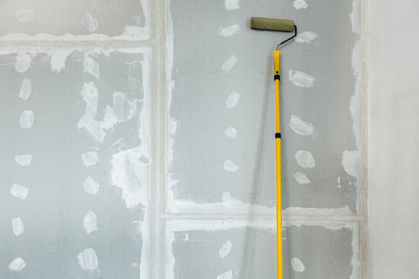  , USA Mold Removal Pros